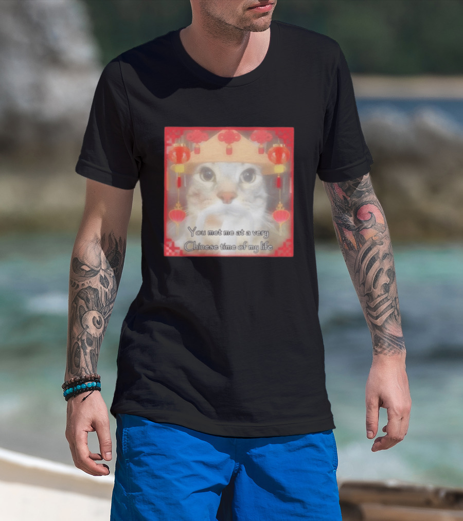 You Met Me At A Very Chinese Time Of My Life Cat Lanterns Hat T-Shirt