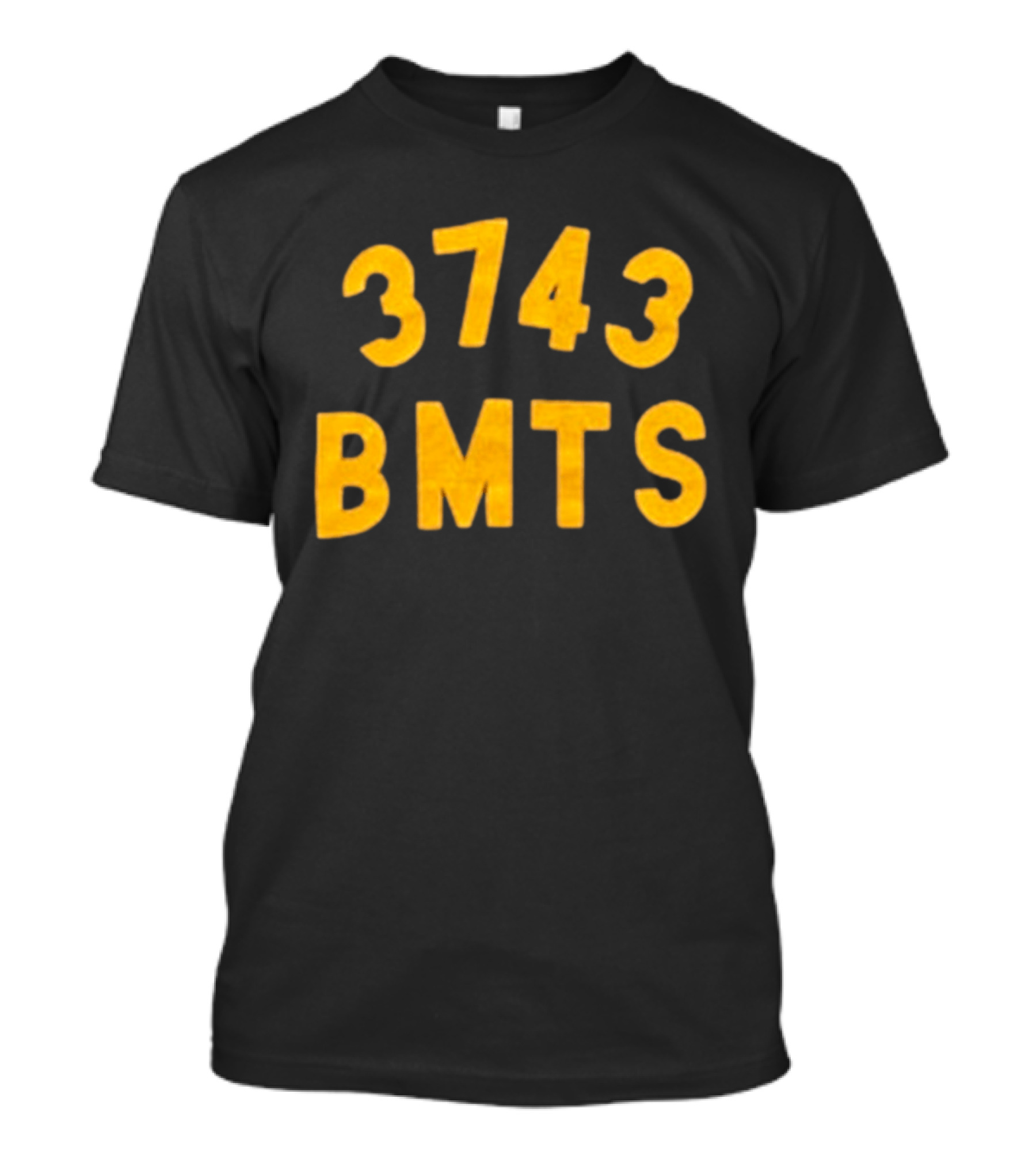 Barn Owl Seattle 3743 BMTS T-Shirt