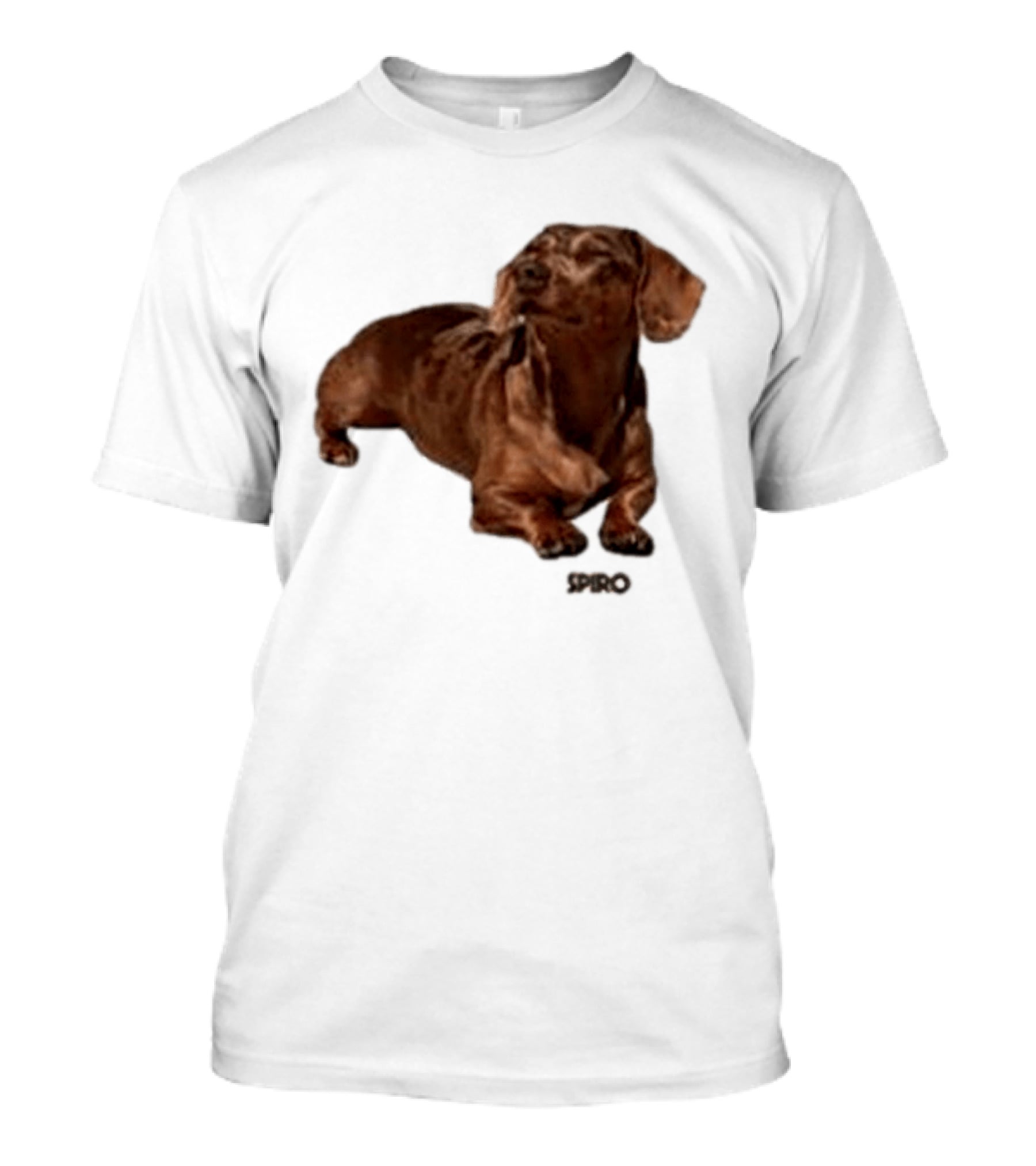 Sienna Spiro Dachshund Visitor T-Shirt