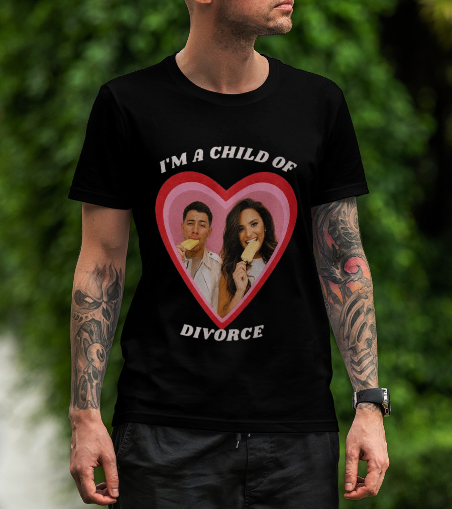 I'm A Child Of Divorce Nick Jonas Demi Lovato Heart Popsicle Image T-Shirt