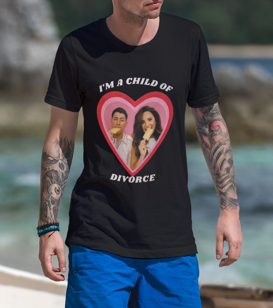 I'm A Child Of Divorce Nick Jonas Demi Lovato Heart Popsicle Image T-Shirt