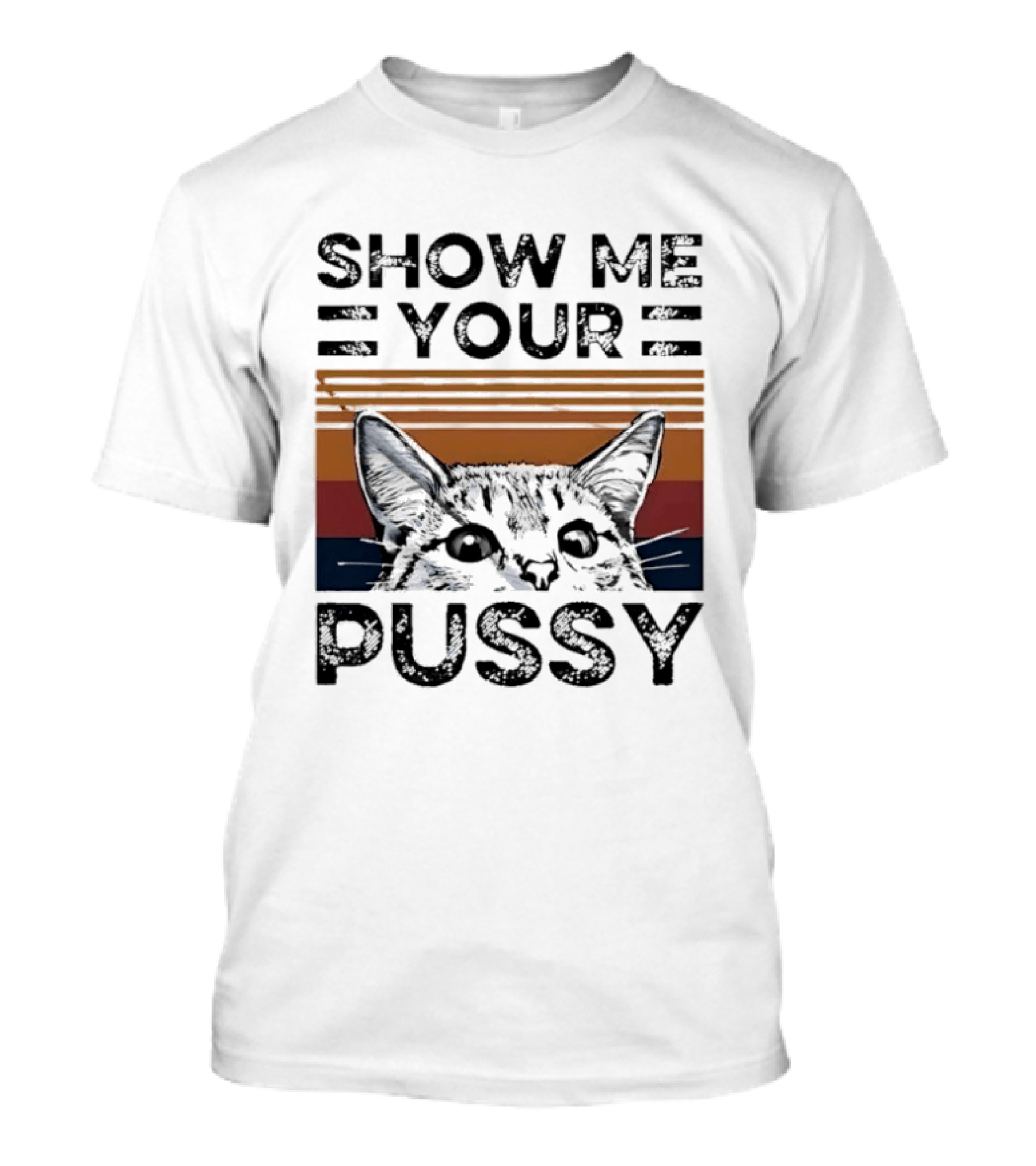 Show Me Your Pussy Cat Retro Sunset Kitty T-Shirt