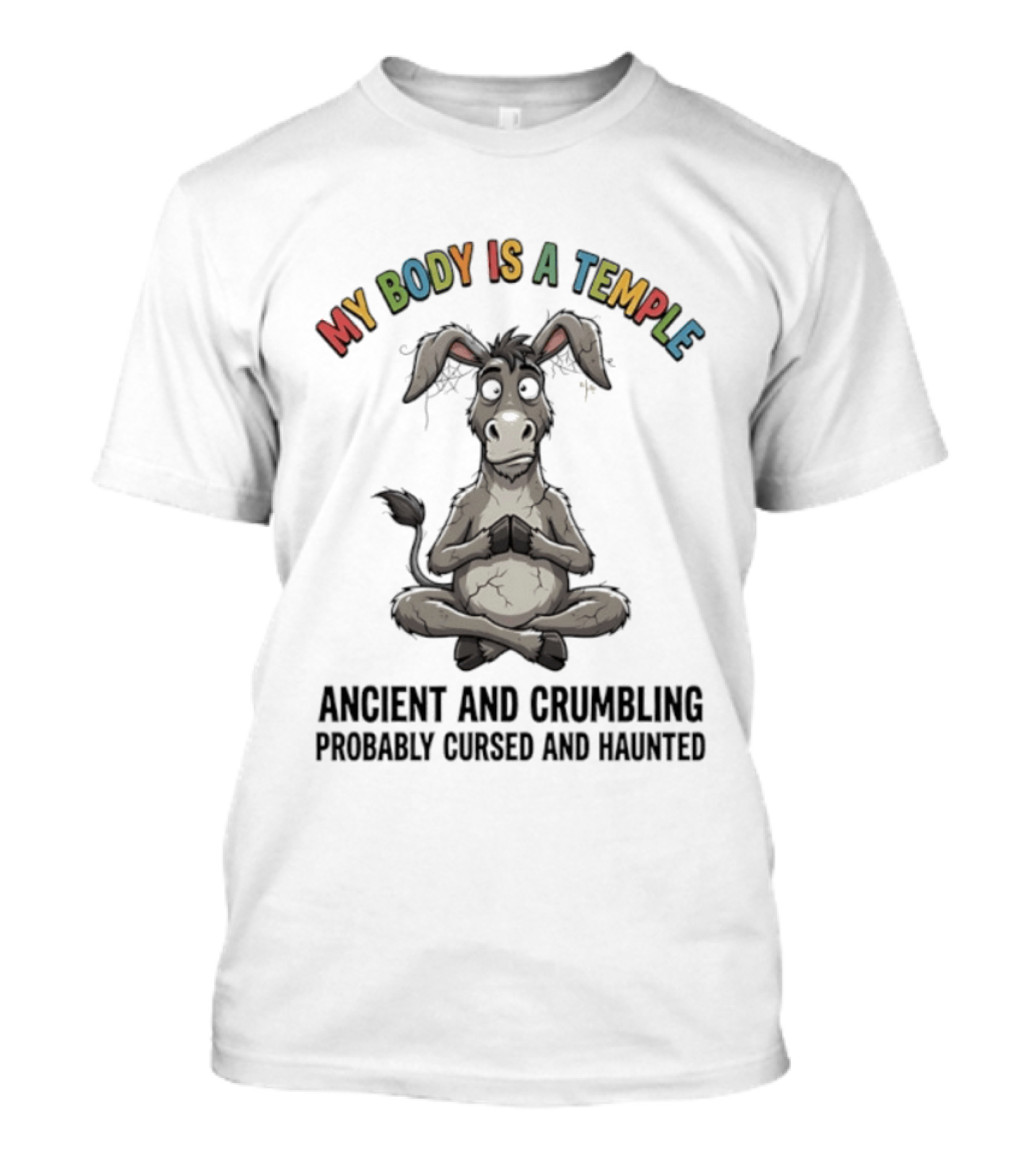 My Body Is A Temple Ancient And Crumbling Probably Cursed And Haunted Donkey T-Shirt