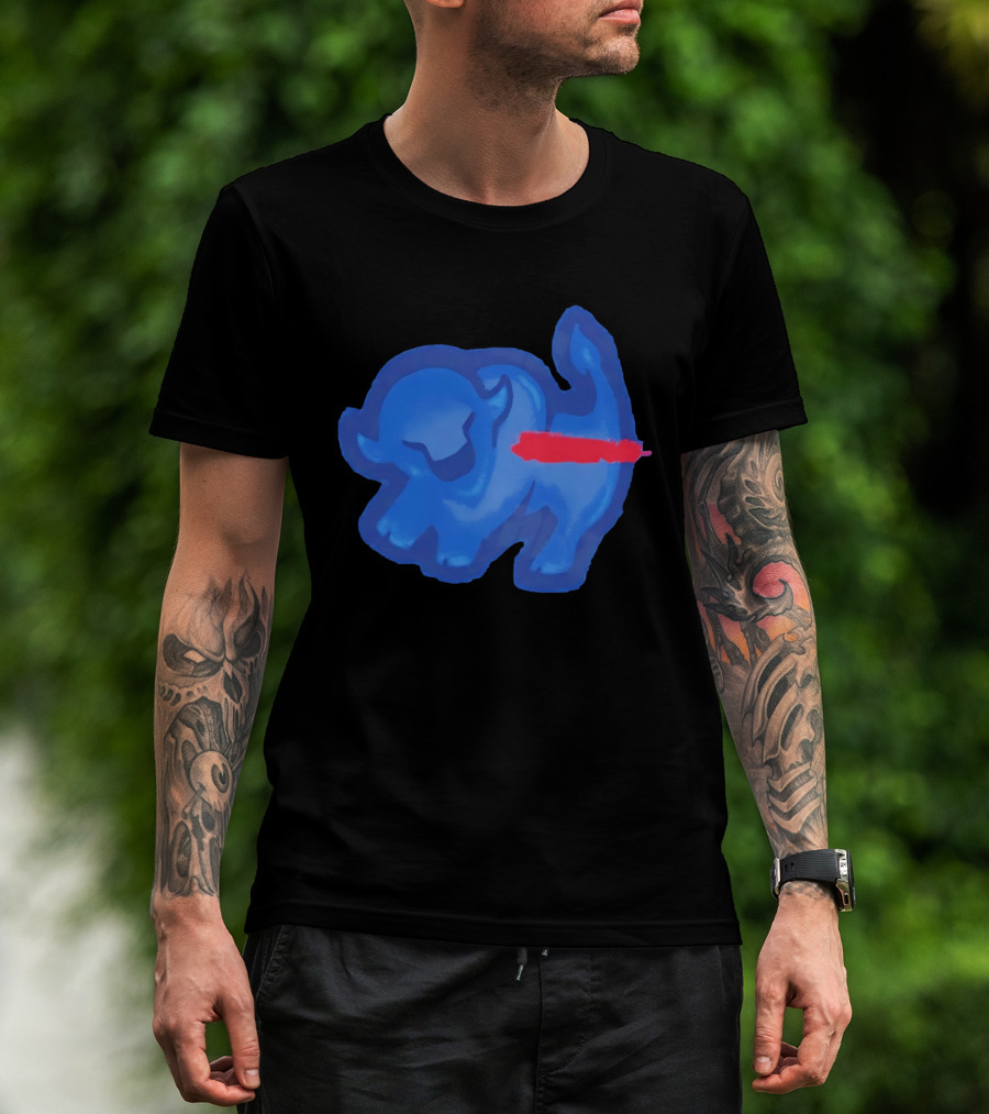 Bison King Buffalo Bills 2026 Football Team Spirit T-Shirt