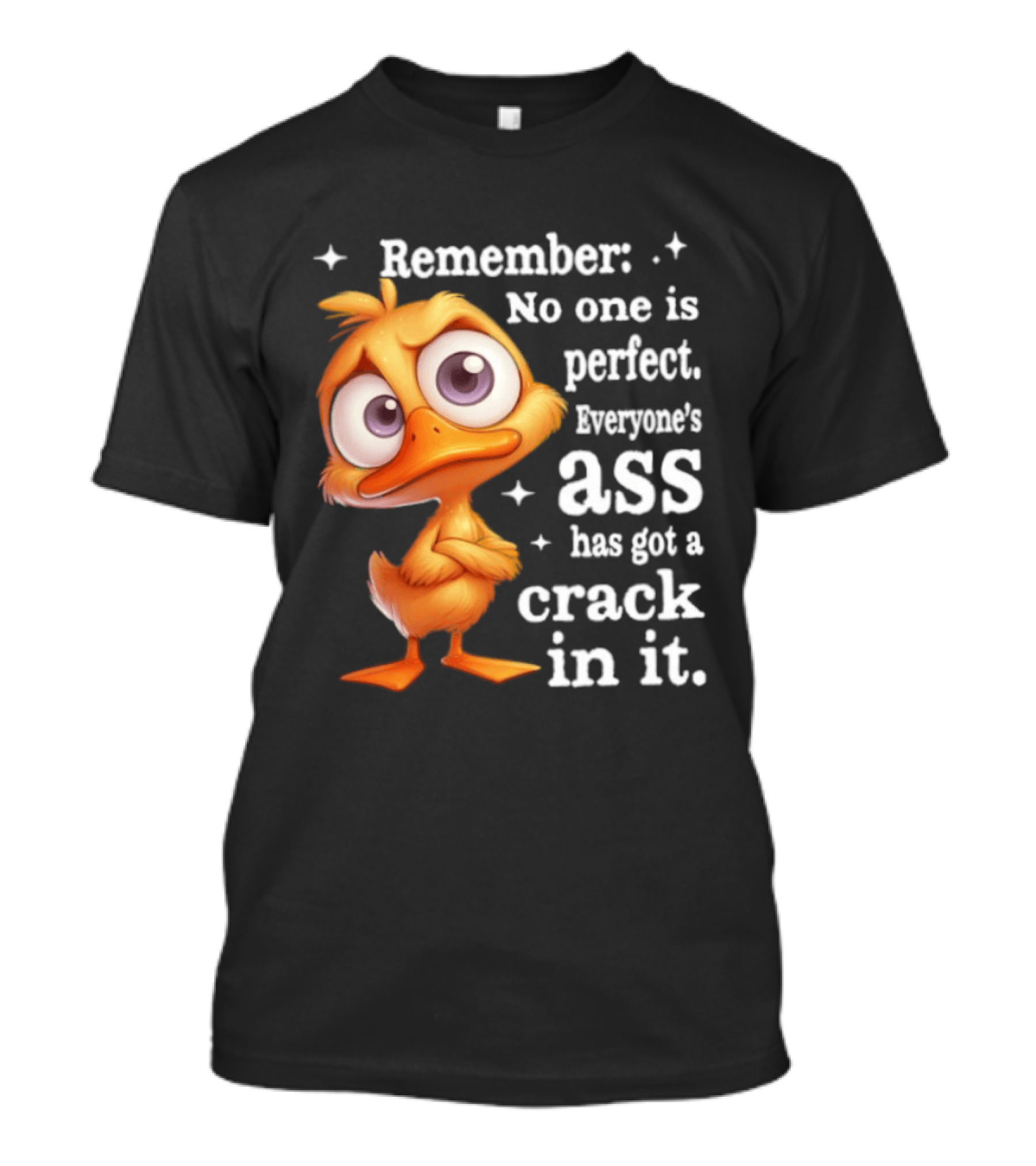 Remember No One Is Perfect Funny Duck Everyone's Ass Has Got A Crack In It T-Shirt