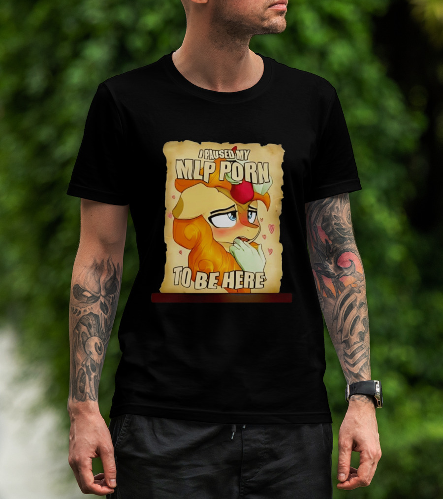 I Paused My MLP Porn To Be Here My Little Pony T-Shirt