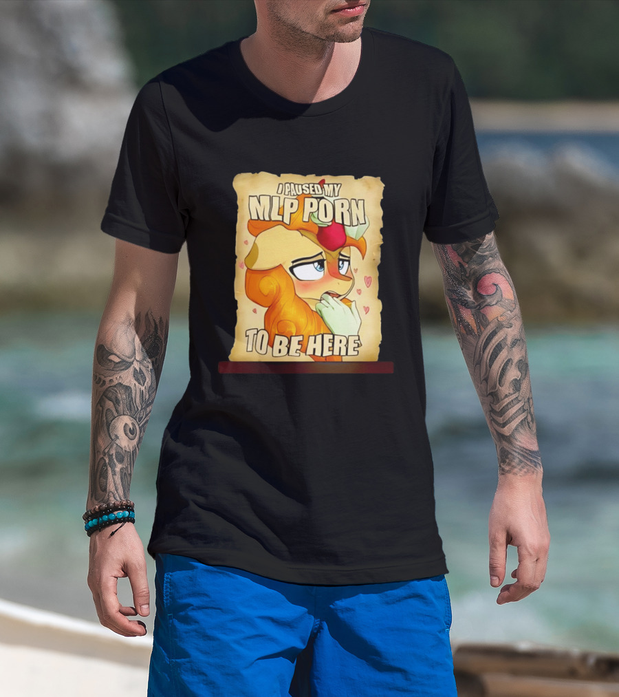 I Paused My MLP Porn To Be Here My Little Pony T-Shirt