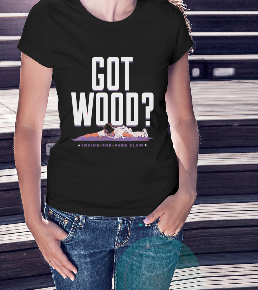 Washington Nationals Baseball Got Wood Inside The Park Slam T-Shirt
