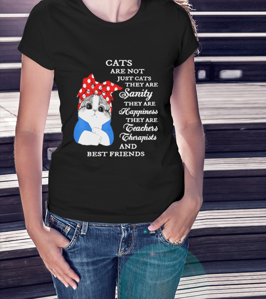Cats Are Not Just Cats They Are Sanity Happiness Teachers Therapists Best Friends T-Shirt