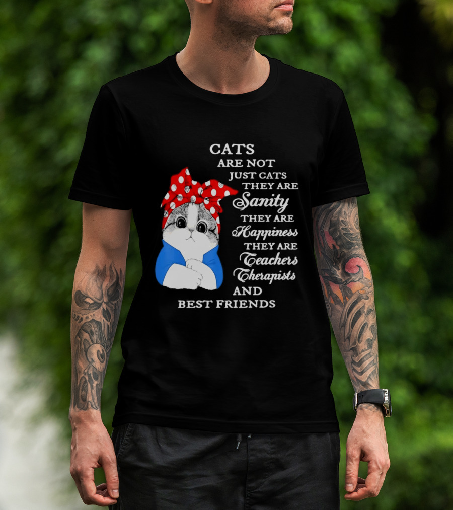 Cats Are Not Just Cats They Are Sanity Happiness Teachers Therapists Best Friends T-Shirt