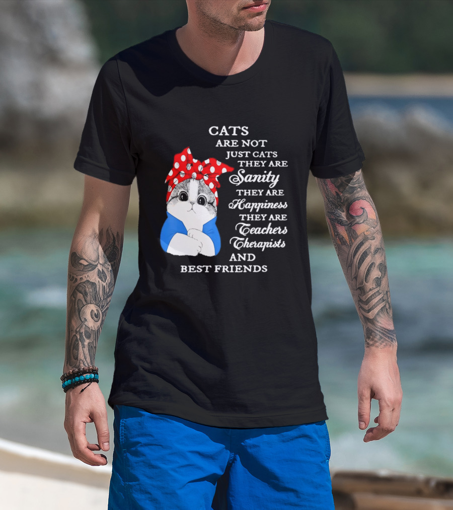 Cats Are Not Just Cats They Are Sanity Happiness Teachers Therapists Best Friends T-Shirt