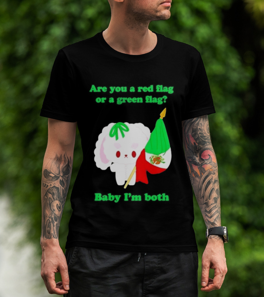 Nonomochi Mexico Flag Are You A Red Flag Or A Green Flag Cute Bunny Holding Mexican Flag T-Shirt