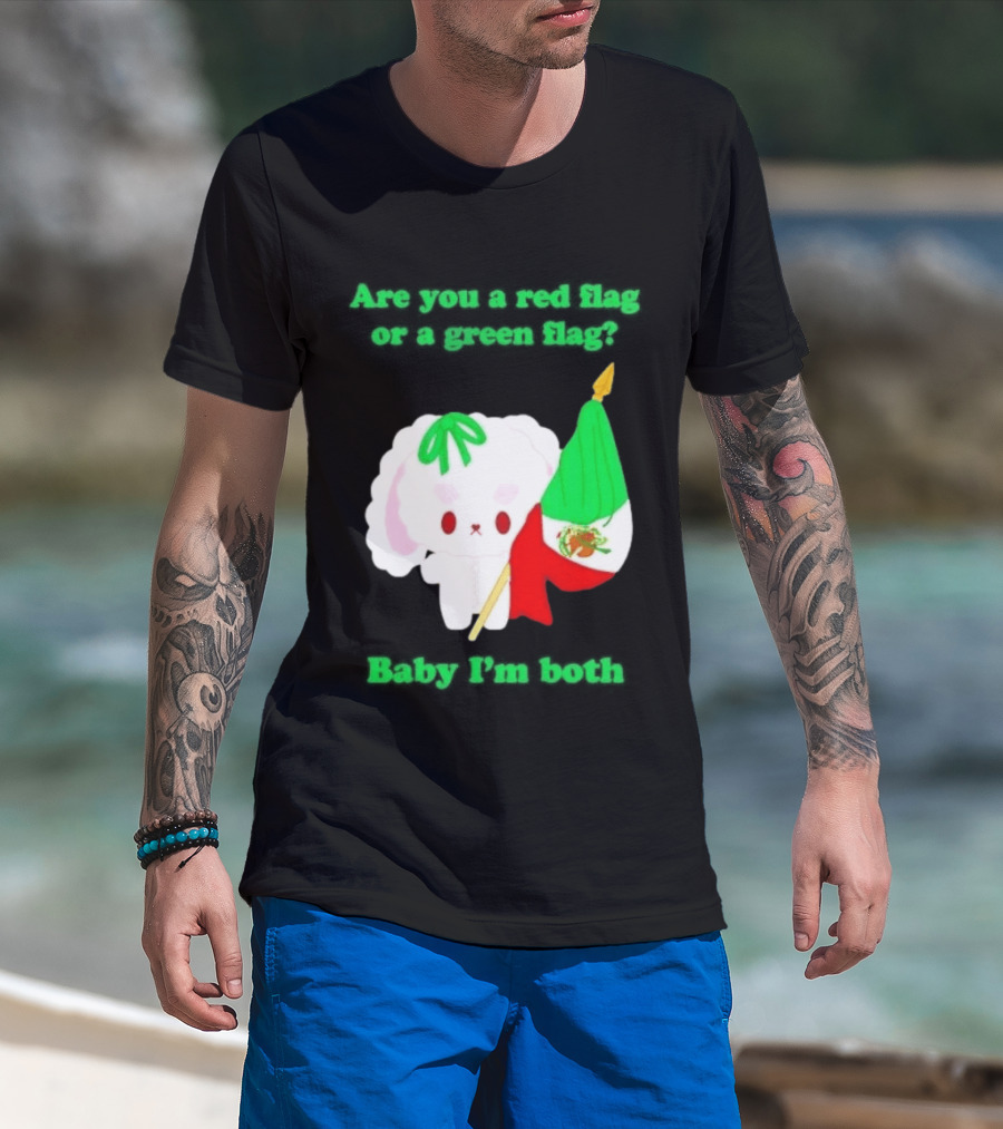 Nonomochi Mexico Flag Are You A Red Flag Or A Green Flag Cute Bunny Holding Mexican Flag T-Shirt