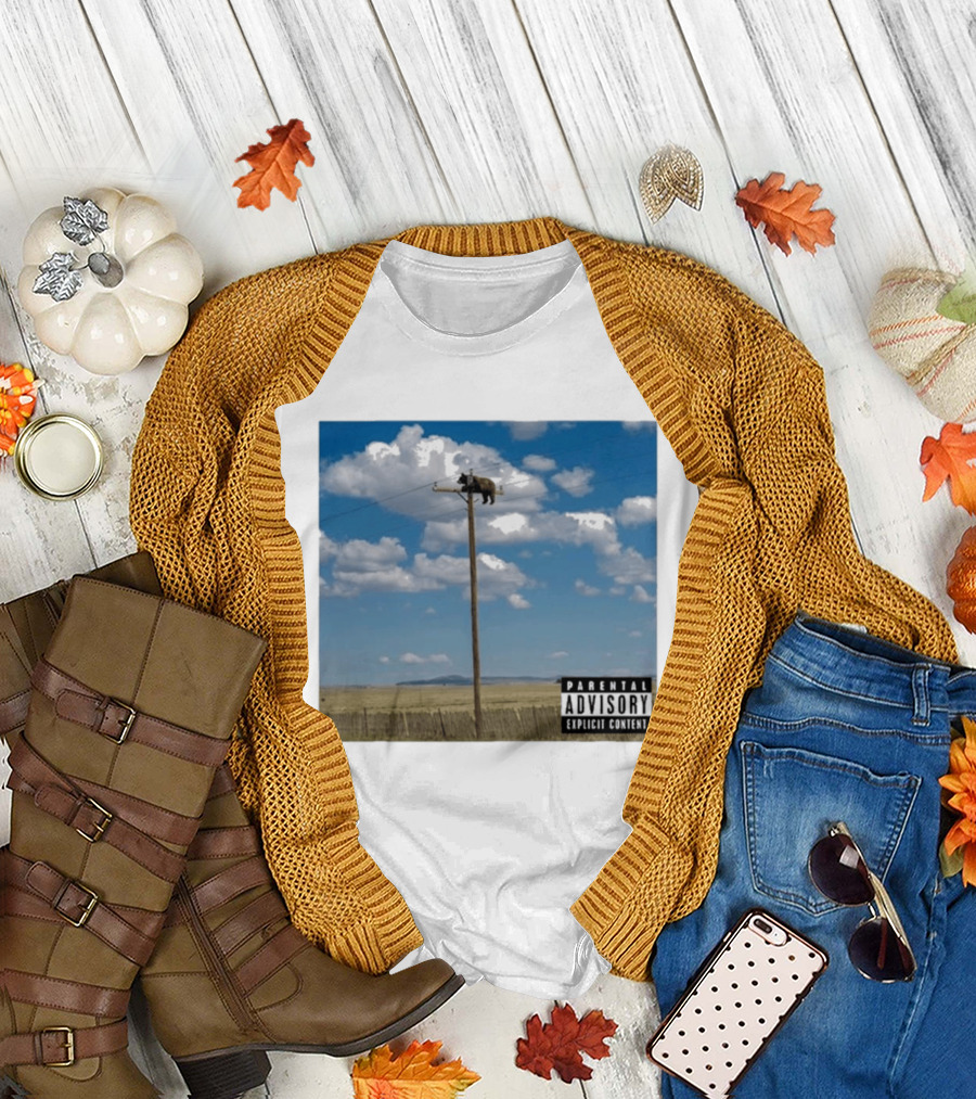 Bear On Top Of The Light Pole Parental Advisory Explicit Content Clouds Sky T-Shirt