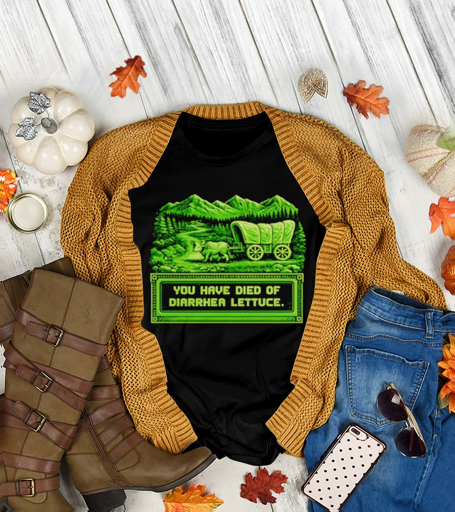 You Have Died Of Diarrhea Lettuce Wagon Trail Retro Gaming T-Shirt