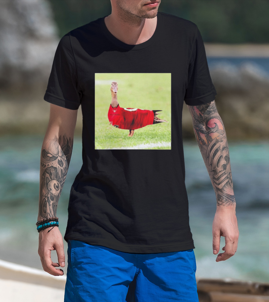 Tampa Bay Buccaneers Duck 2026 Football Fan T-Shirt