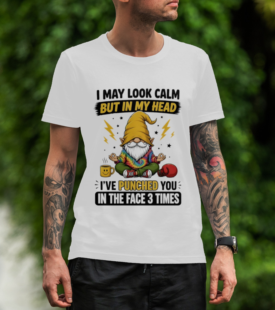 Gnome I May Look Calm But In My Head I've Punched You In The Face 3 Times T-Shirt