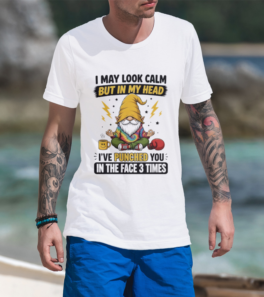 Gnome I May Look Calm But In My Head I've Punched You In The Face 3 Times T-Shirt
