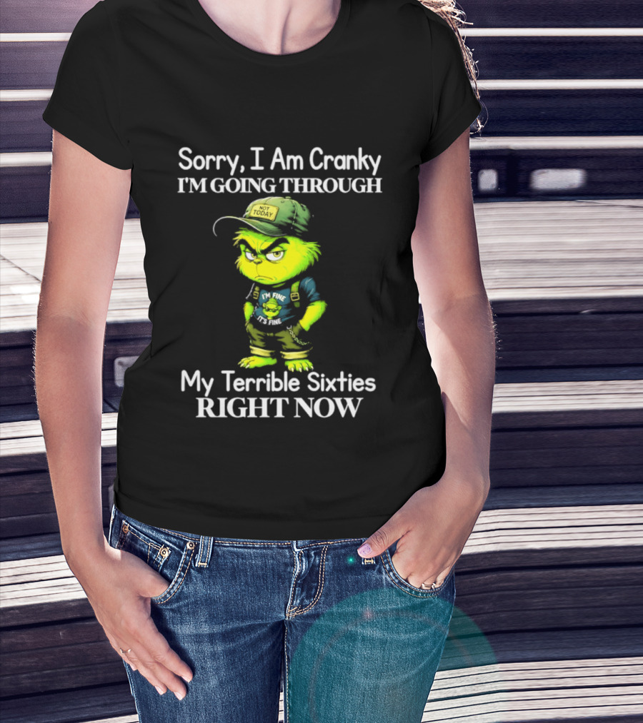 Sorry I Am Cranky I'm Going Through My Terrible Sixties Right Now T-Shirt