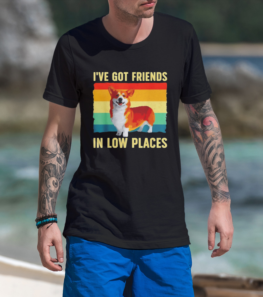 Corgi I've Got Friends In Low Places Vintage Rainbow T-Shirt