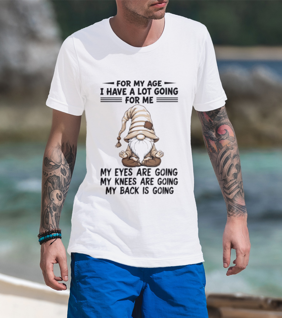 For My Age I Have A Lot Going For Me My Eyes Are Going My Knees Are Going My Back Is Going Gnome T-Shirt