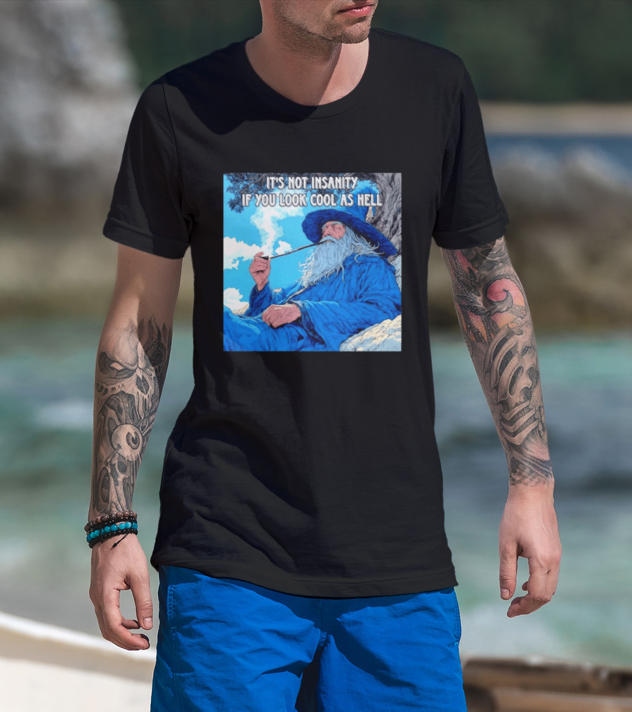 It's Not Insanity If You Look Cool As Hell Wizard Smoking Pipe T-Shirt