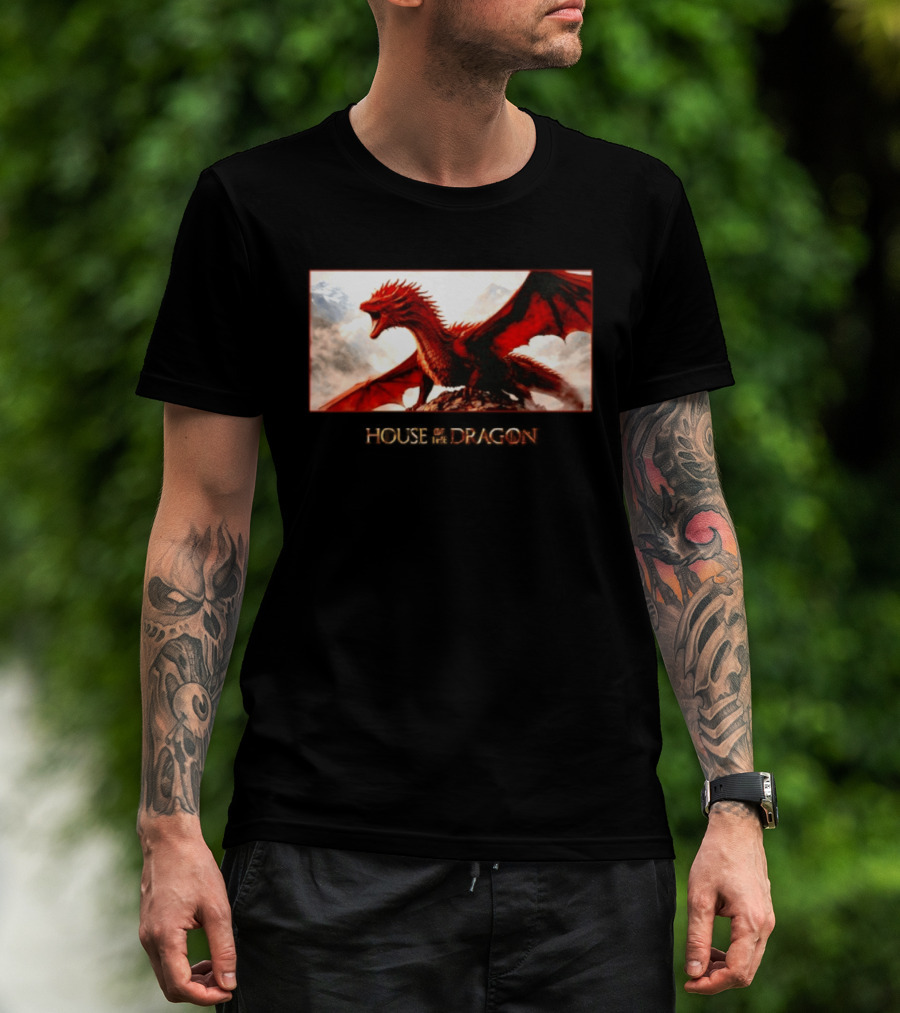 House Of The Dragon Caraxes War Memorial Mountains Scene T-Shirt