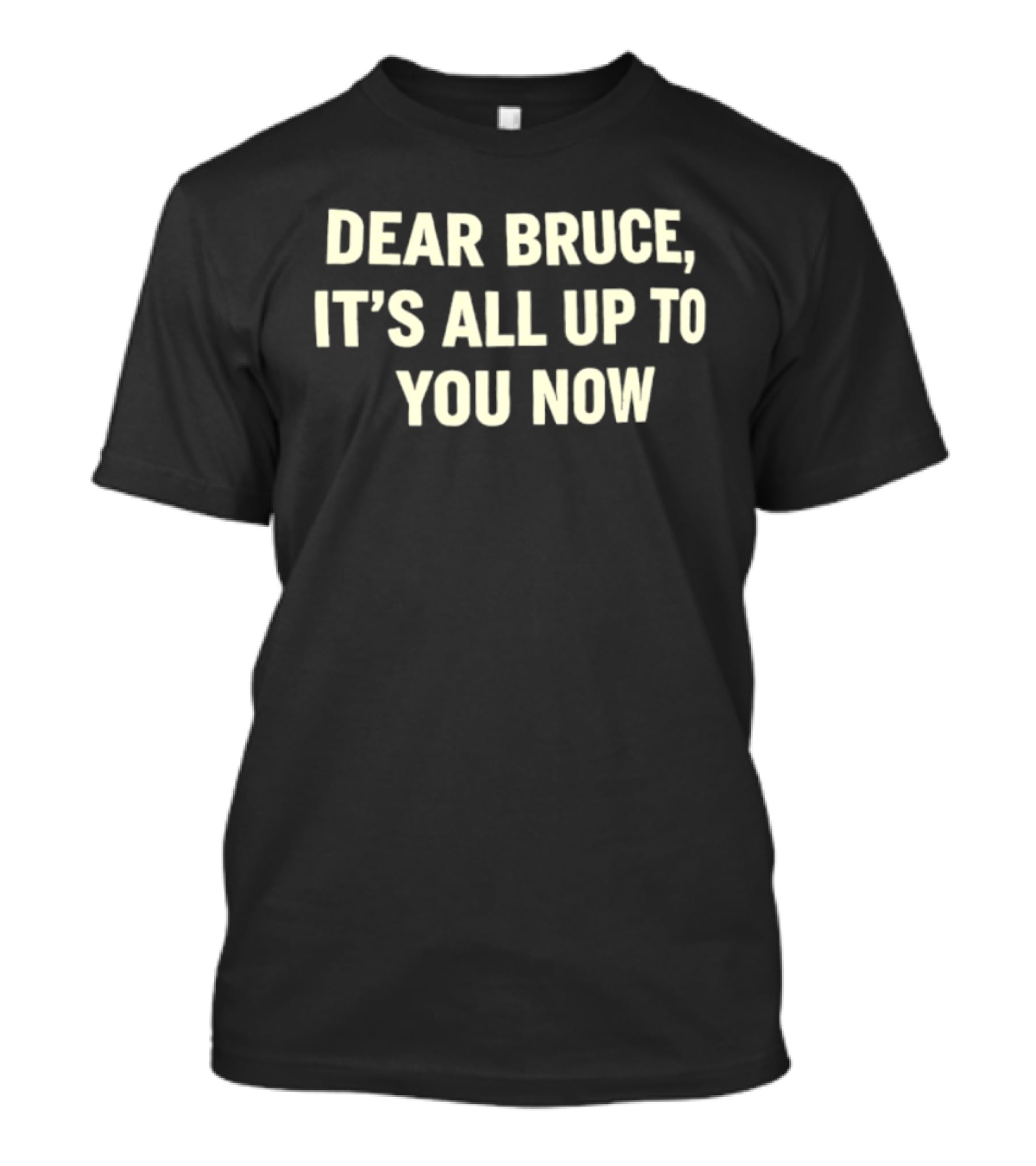 Dear Bruce It's All Up To You Now T-Shirt