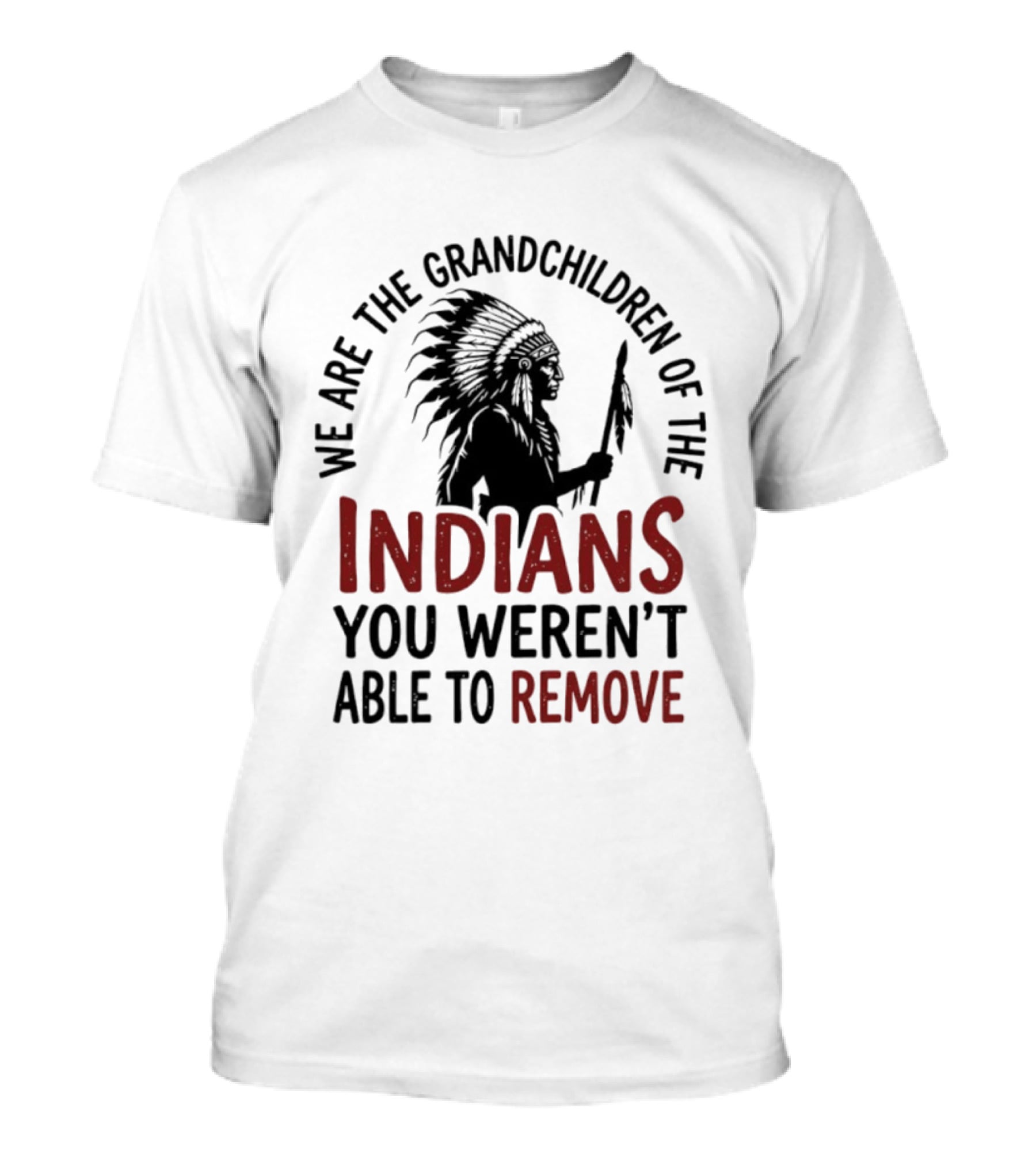 We Are The Grandchildren Of The Indians You Weren't Able To Remove Native American Headdress T-Shirt