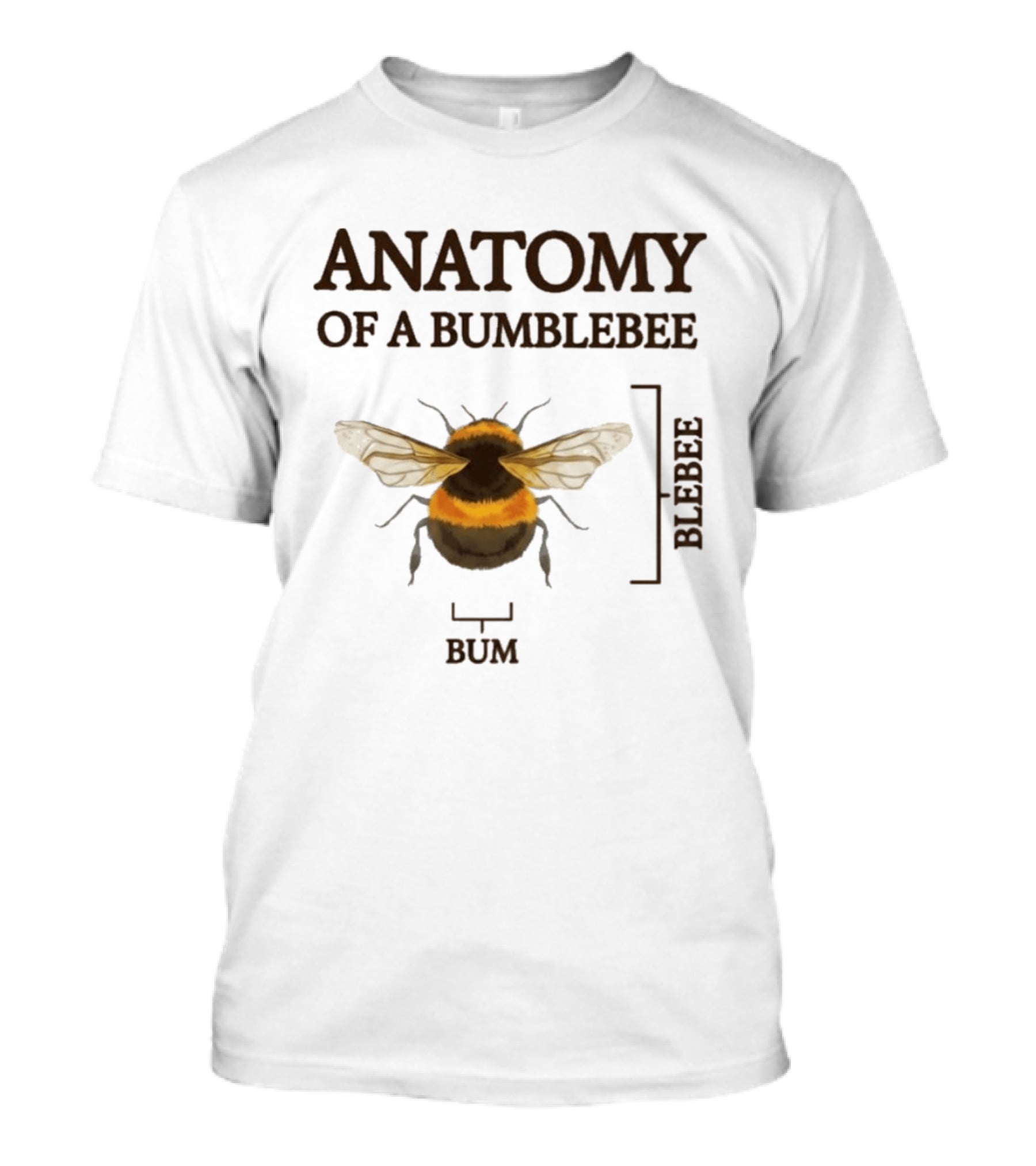 Anatomy Of A Bumblebee Bum Blebee T-Shirt