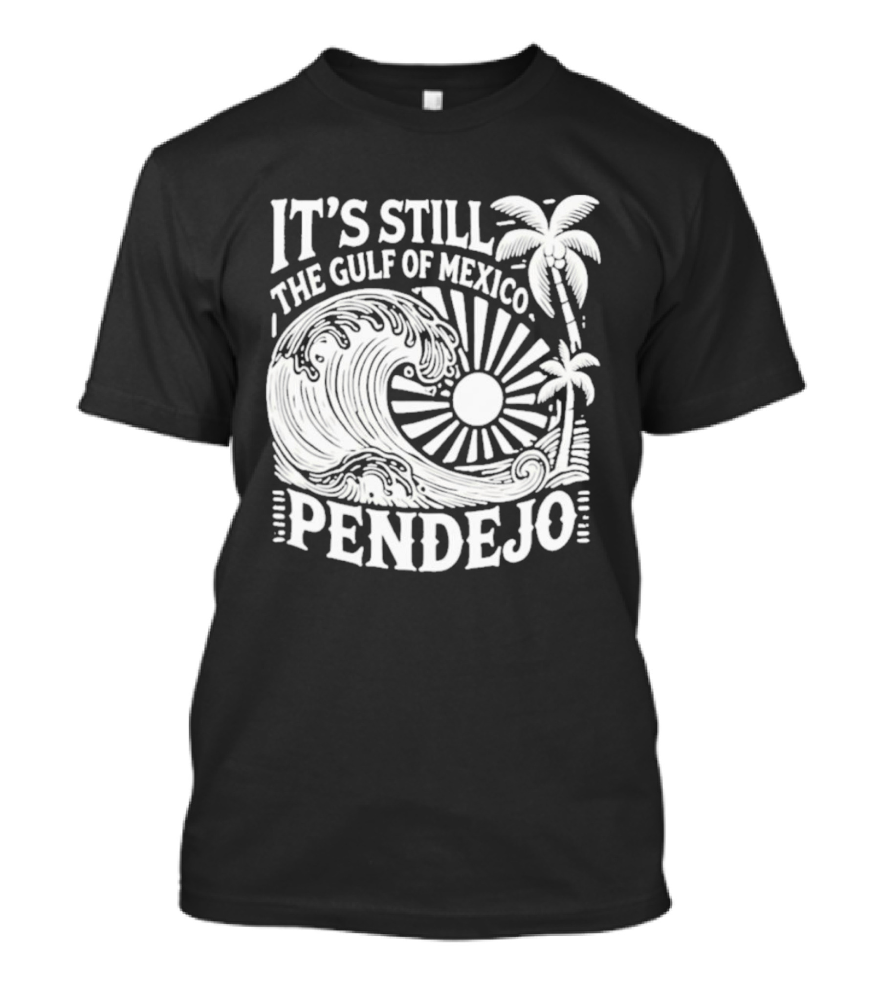 It's Still The Gulf Of Mexico Pendejo Wave Palm Sun T-Shirt