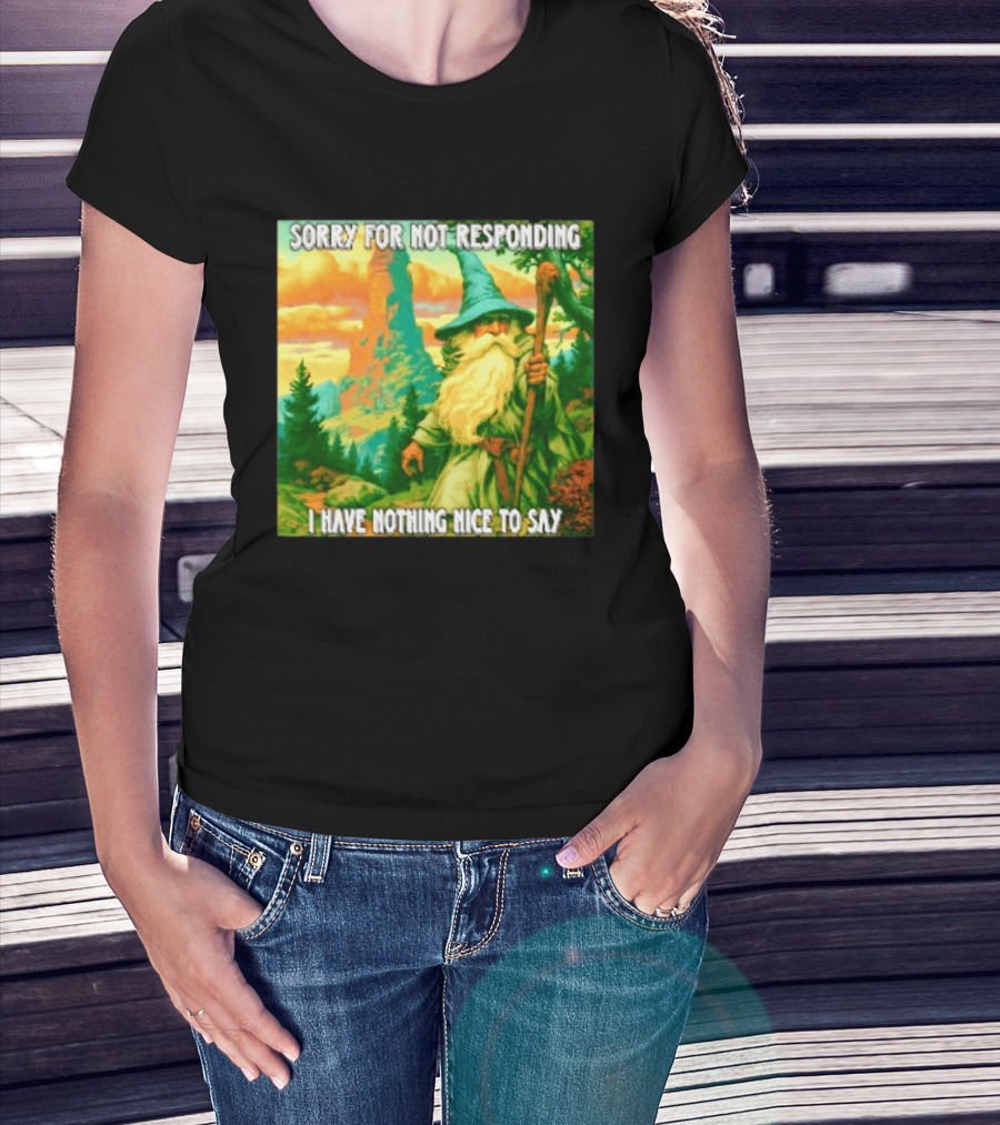 Sorry For Not Responding I Have Nothing Nice To Say Wizard Scene T-Shirt
