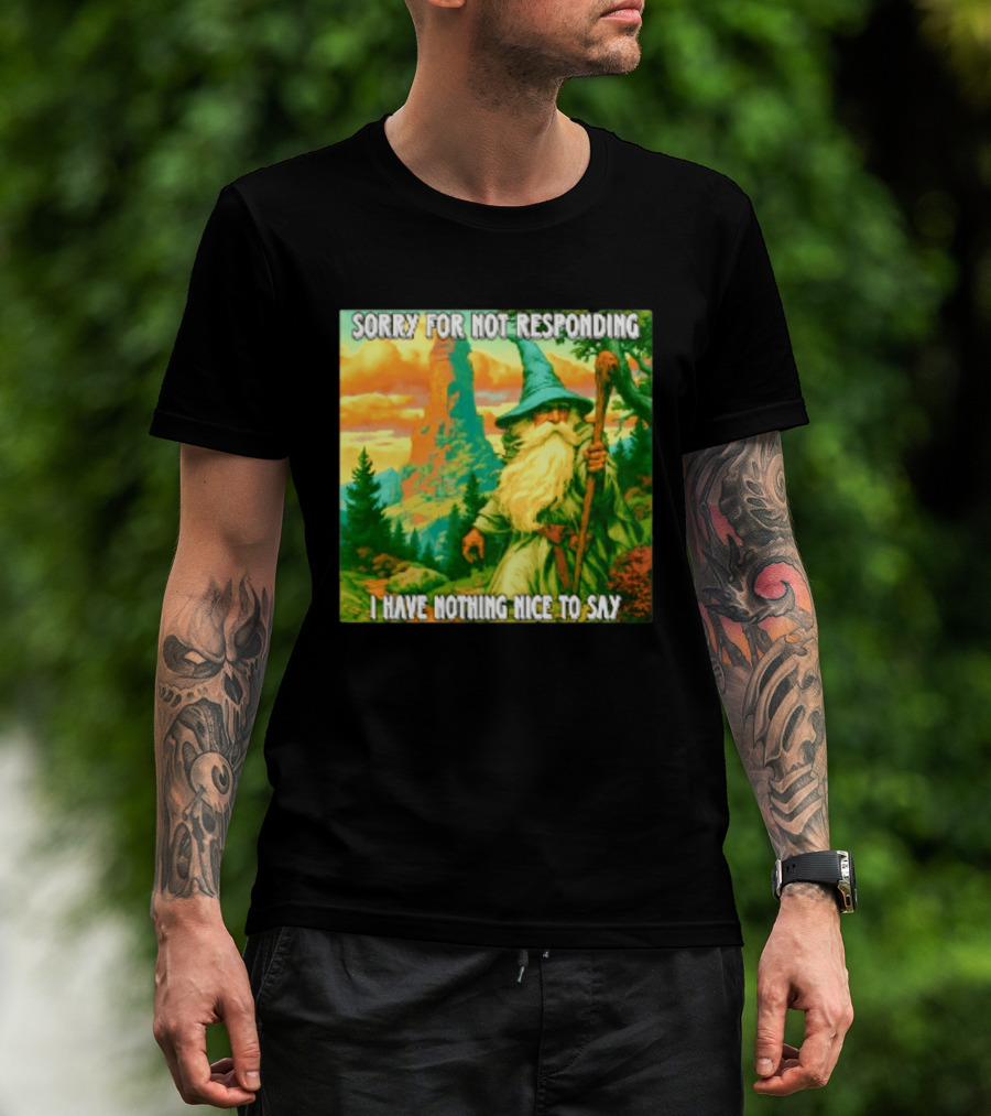 Sorry For Not Responding I Have Nothing Nice To Say Wizard Scene T-Shirt