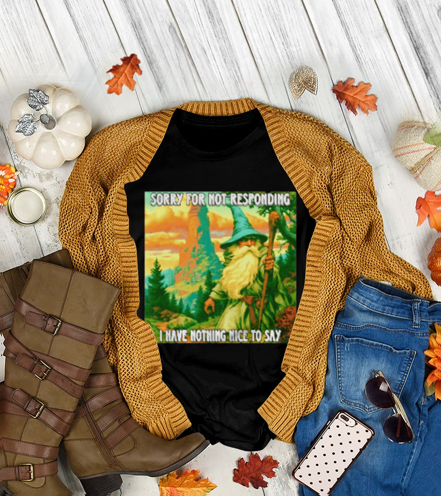Sorry For Not Responding I Have Nothing Nice To Say Wizard Scene T-Shirt