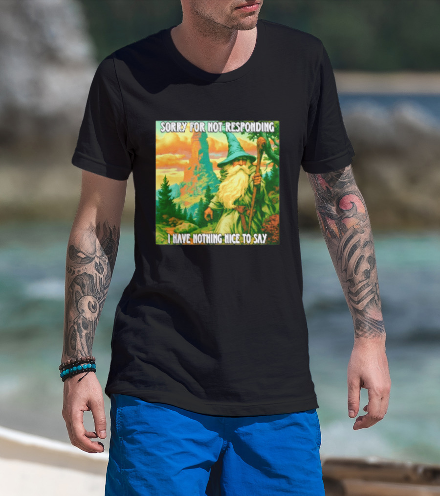 Sorry For Not Responding I Have Nothing Nice To Say Wizard Scene T-Shirt