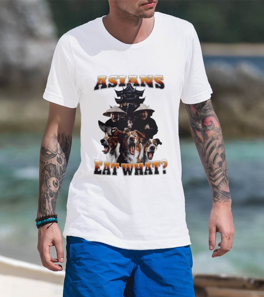 Asians Eat What Pagoda And Dogs Offensive Meme T-Shirt
