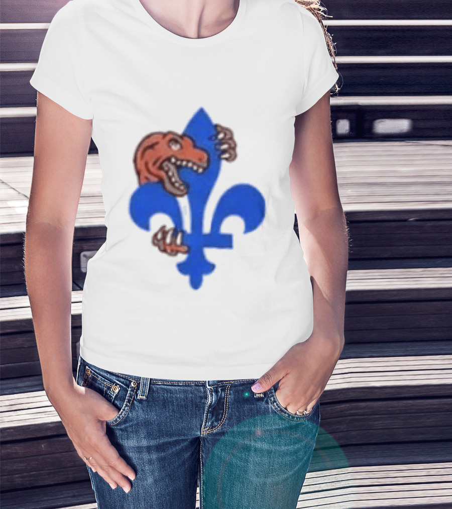 2026 Raptors Quebec Canada Games Fleur De Lis And Dinosaur T-Shirt