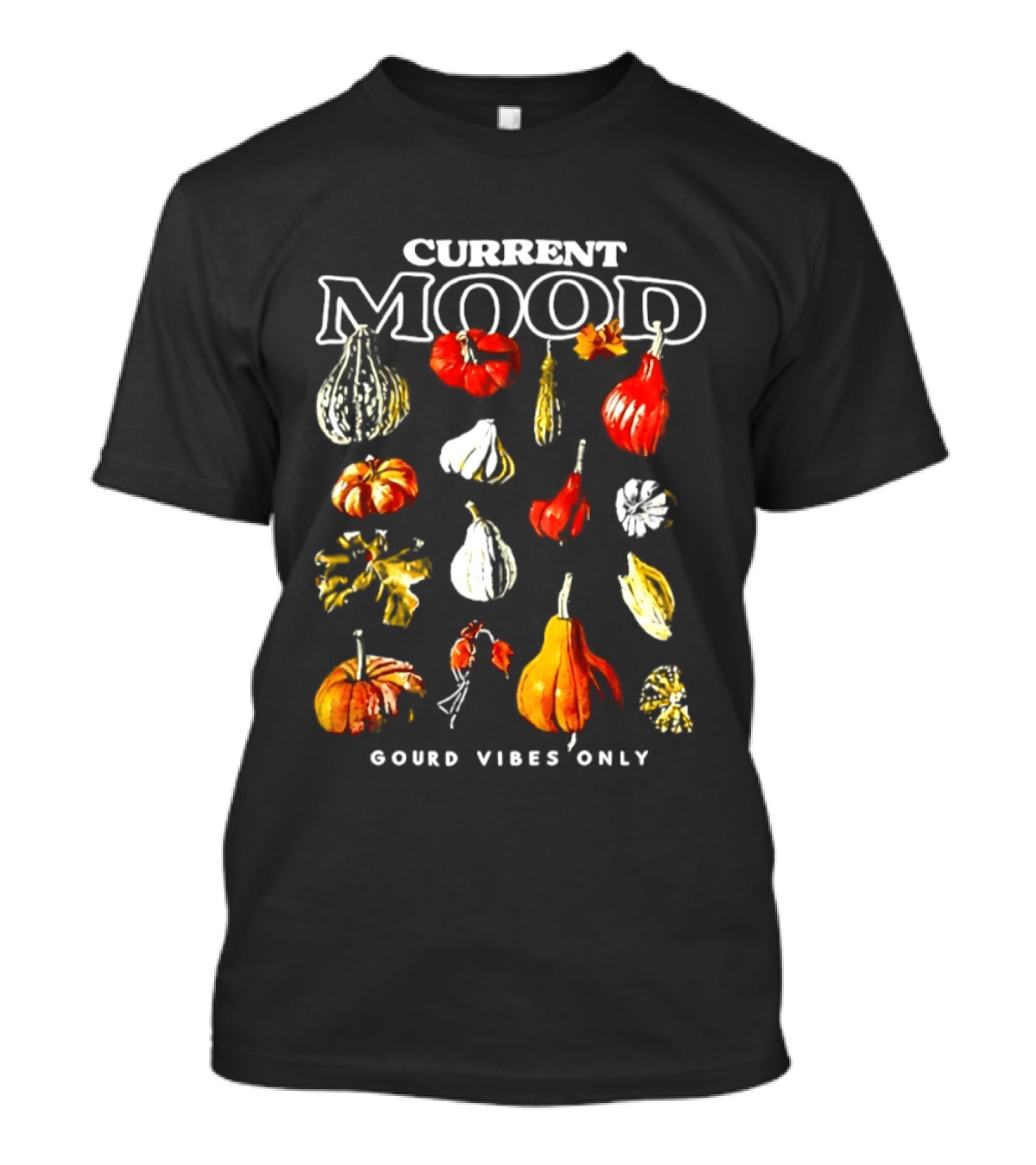 Current Mood Gourd Vibes Only T-Shirt