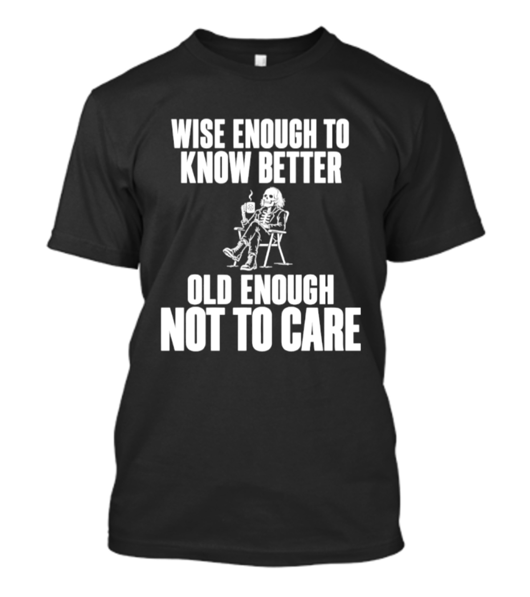 Wise Enough To Know Better Old Enough Not To Care Rocking Chair Humor T-Shirt