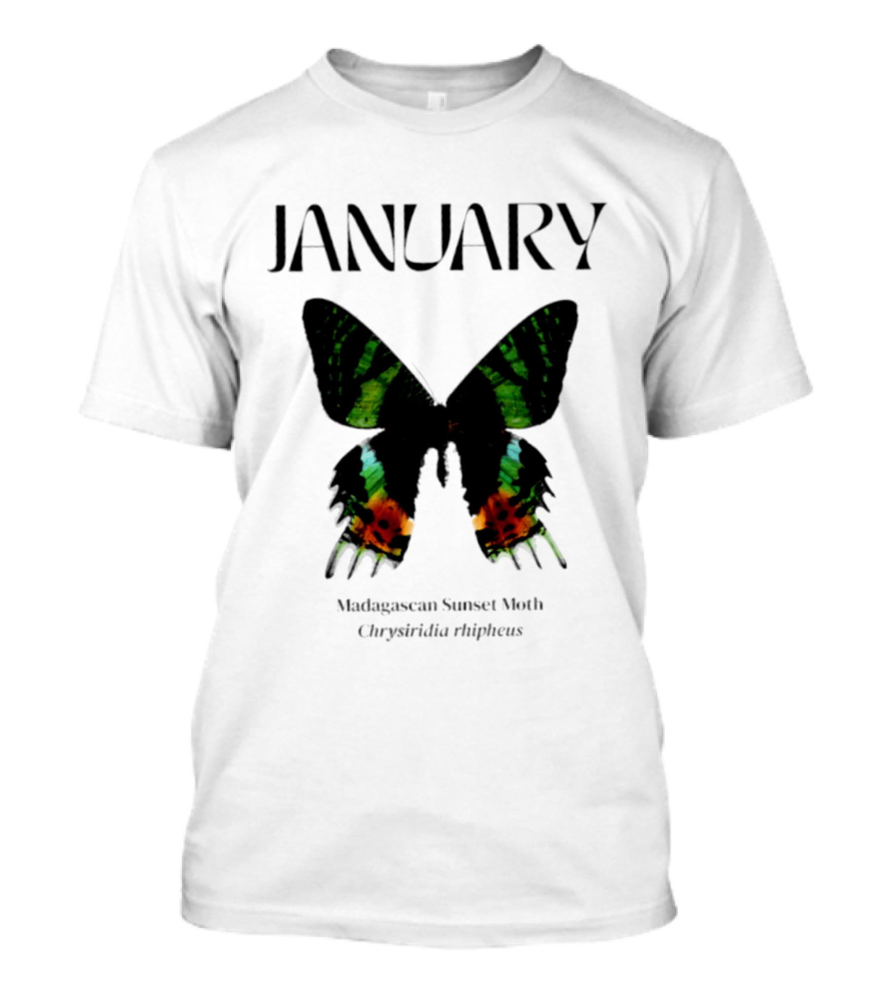 January Madagascan Sunset Moth Chrysiridia Rhipheus T-Shirt