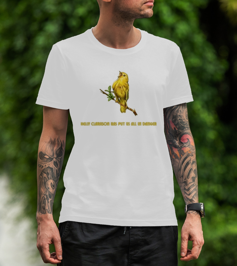 Kelly Clarkson Has Put Us All In Danger Molly Bird T-Shirt