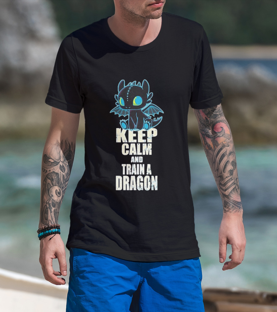 Keep Calm And Train A Dragon Toothless How To Train Your Dragon Cartoon T-Shirt