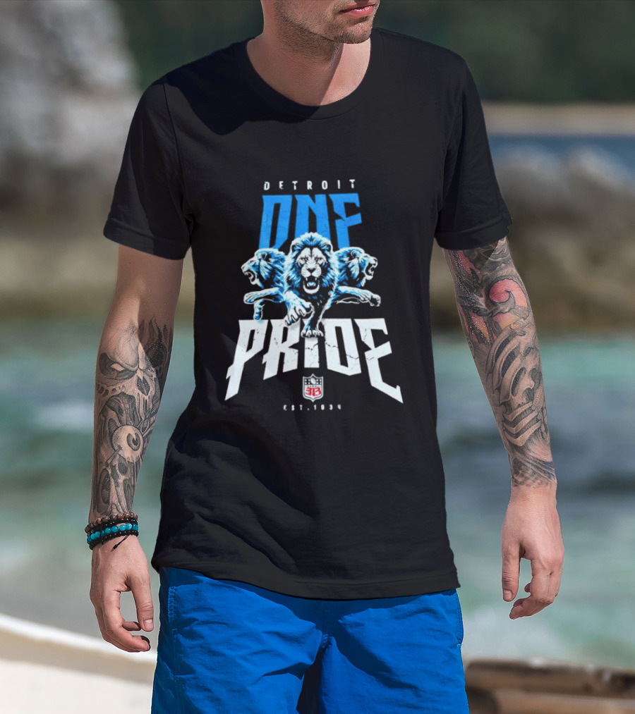 Detroit One Pride 313 Lions Est 1930 T-Shirt