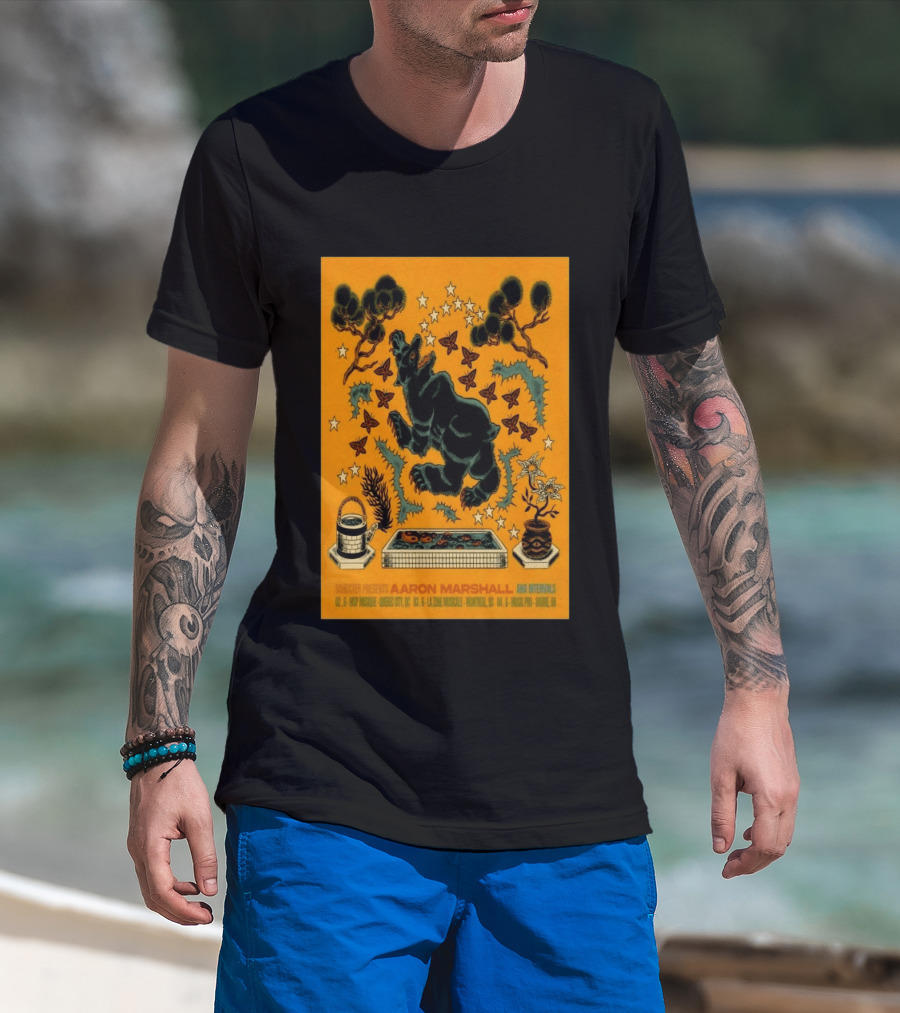 Aaron Marshall Intervals 2026 Canadian Clinic Tour Quebec City Montreal Barrie T-Shirt