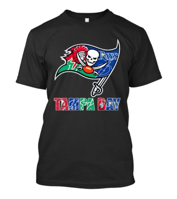 Tampa Bay Buccaneers Rays Lightning Sports Teams Flag T-Shirt