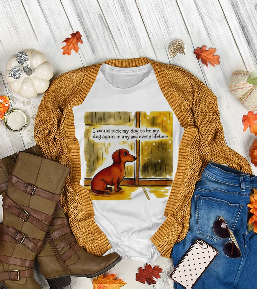 I would pick my dog to be my dog again in any and every lifetime dachshund by window T-Shirt