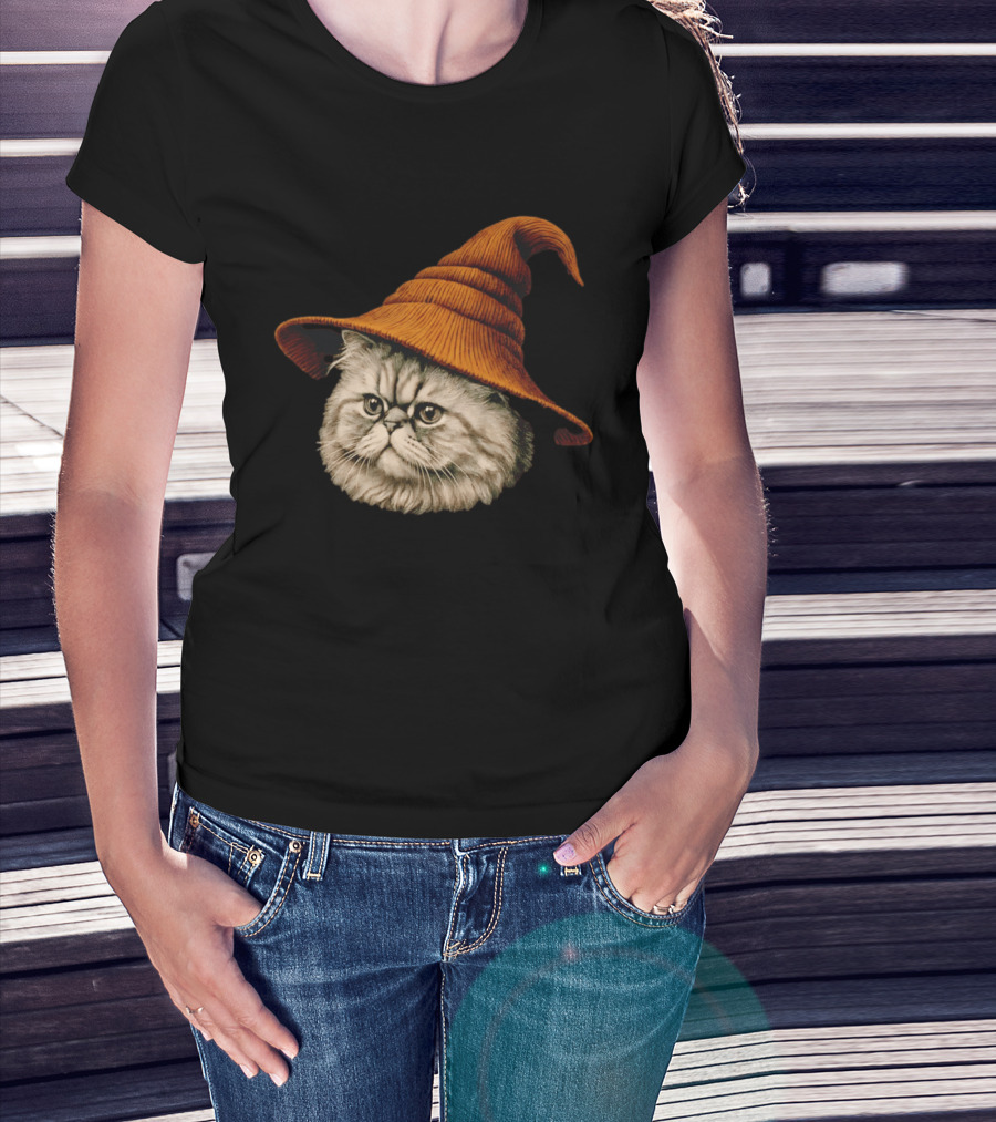 Beanie Cat Wizard Cartoon Plush Orange Hat Feline T-Shirt