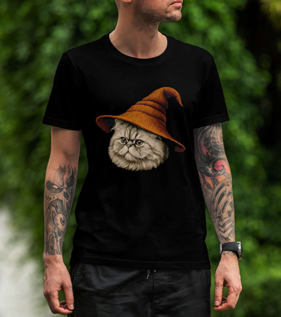 Beanie Cat Wizard Cartoon Plush Orange Hat Feline T-Shirt