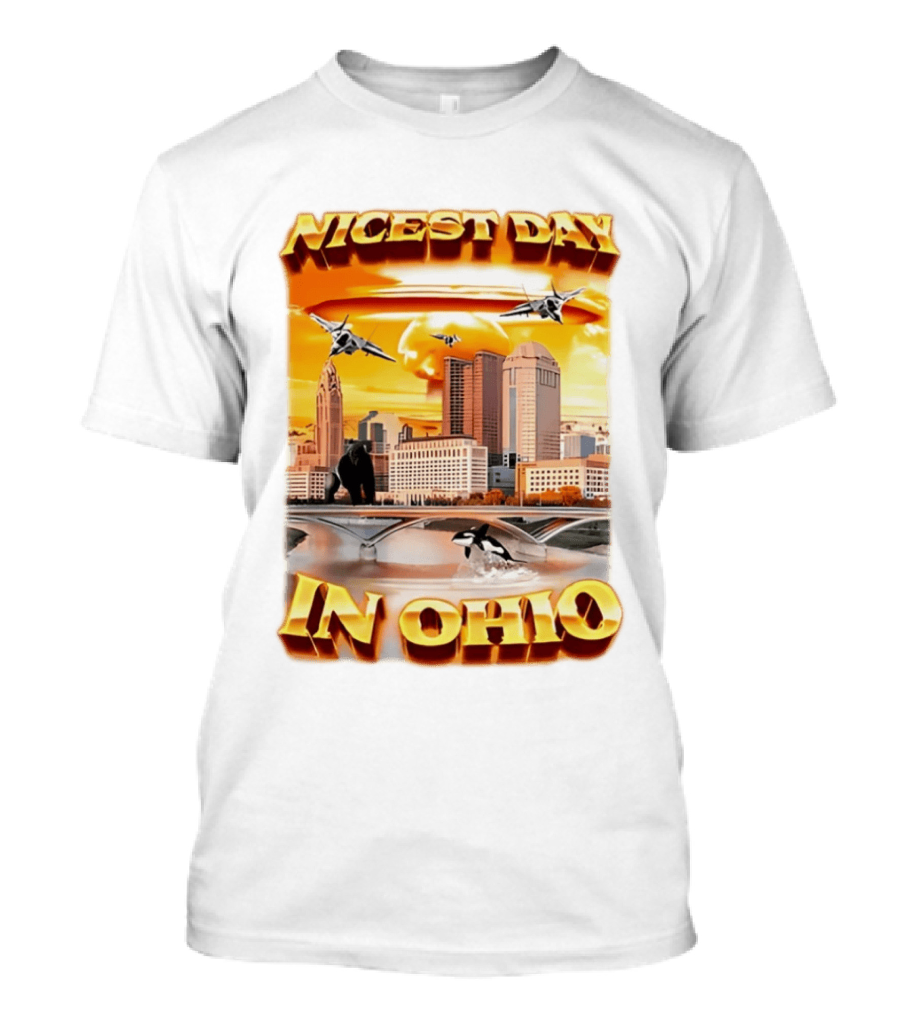 Nicest Day In Ohio Cityscape With Jets And Wildlife T-Shirt