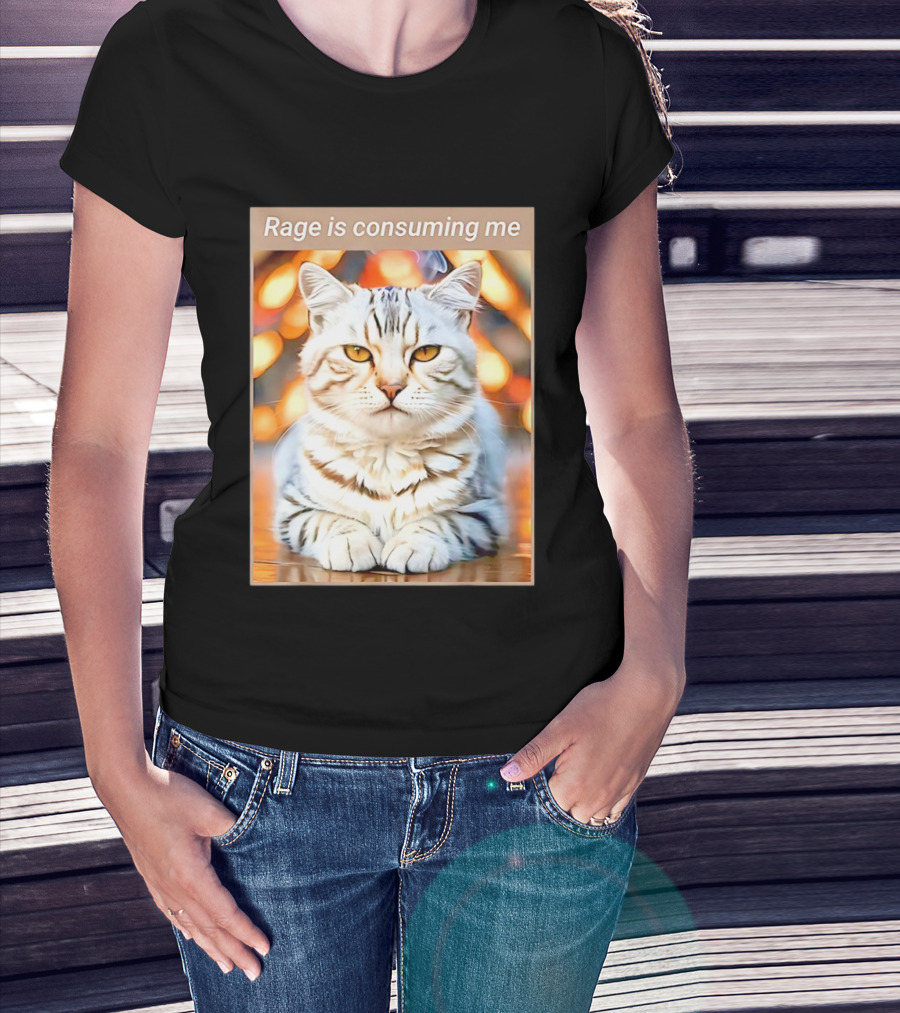 Cat Rage Is Consuming Me Meme Tiger Stripes T-Shirt